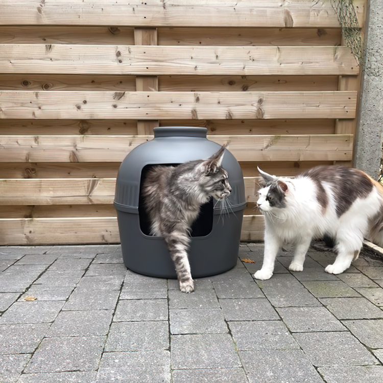 Lettiera invisibile per gatti Flower XXL Blackline: di RHR Pets