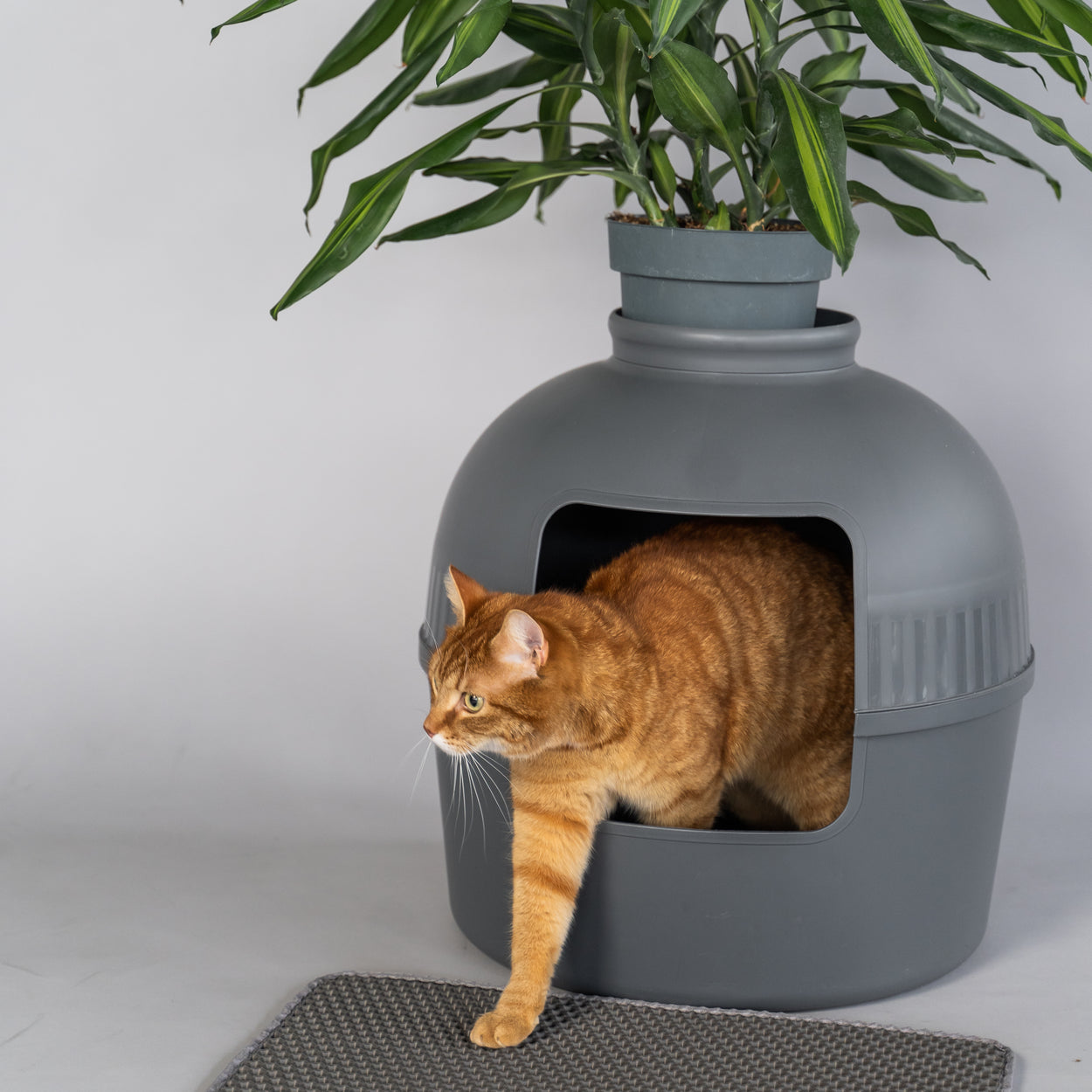 Oversized Cat Litter Box Mats