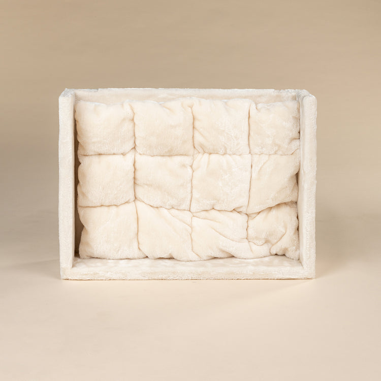 Cream Cushion, For Lounge Lying Area