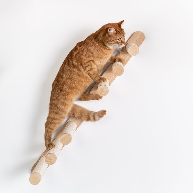Cat Climbing Wall - Ladder Set (Beige)