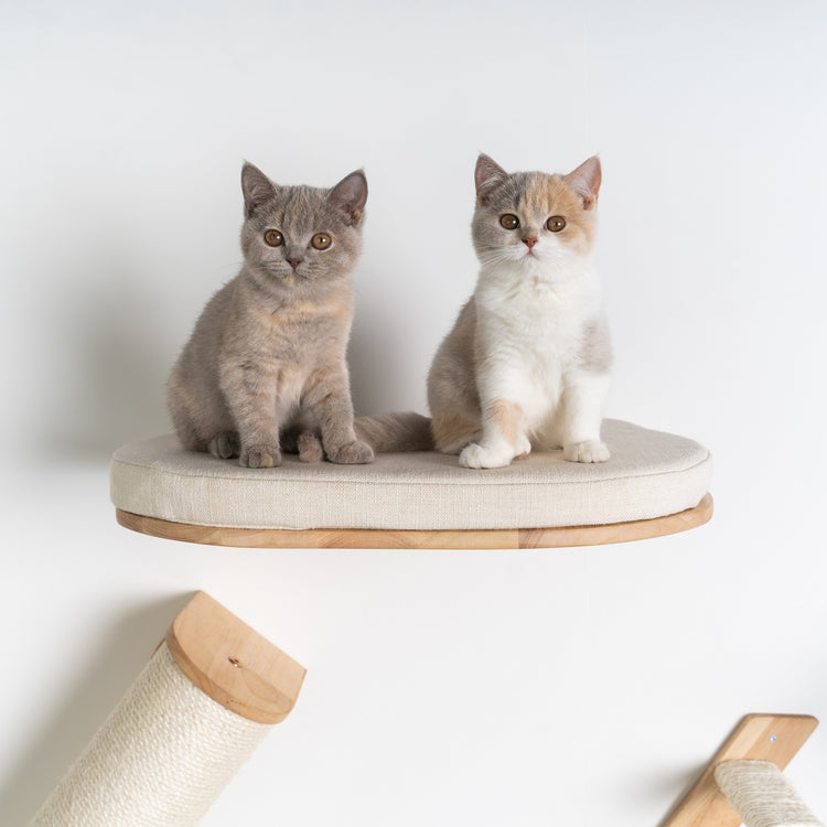 Cat Climbing Wall - Luxury Cat Wall Bed (Beige)