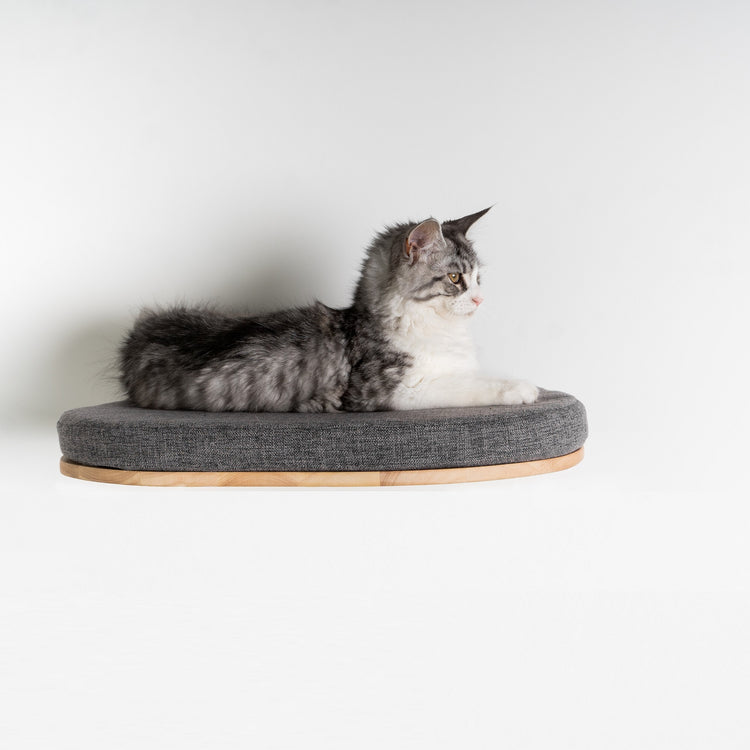 Cat Climbing Wall - Luxury Cat Wall Bed (Grey)