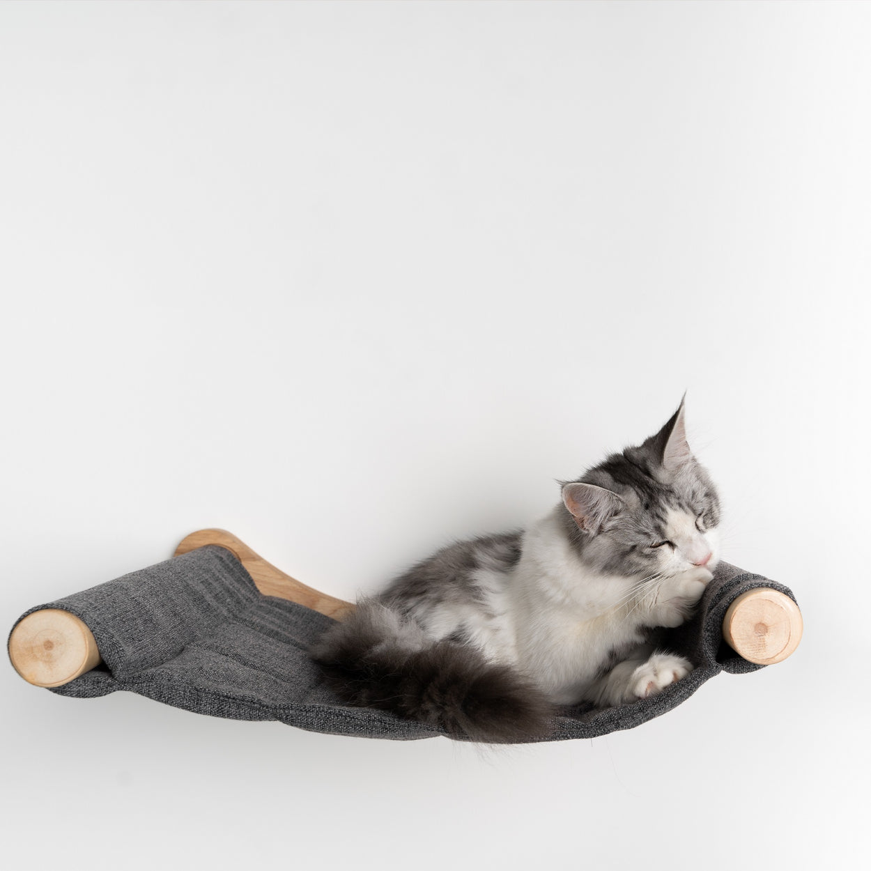 Cat wall sale hammock diy