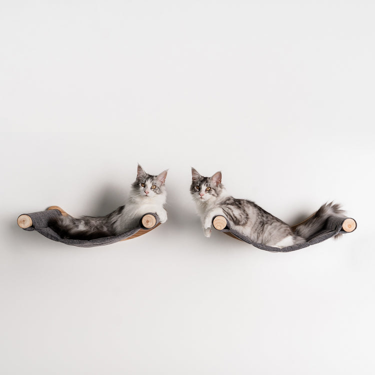 Cat Climbing Wall - Luxury Wall Hammock XXL (Grey)