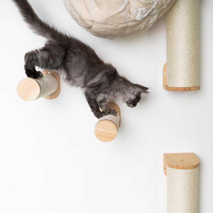 Cat Climbing Wall - Wall Sisalpole Set (Beige)